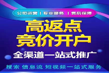 百度竞价代理全攻略：成功案例分享